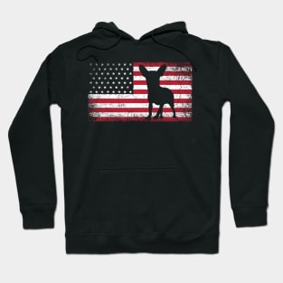 Chihuahua American Flag 4th Of July Vintage Hoodie